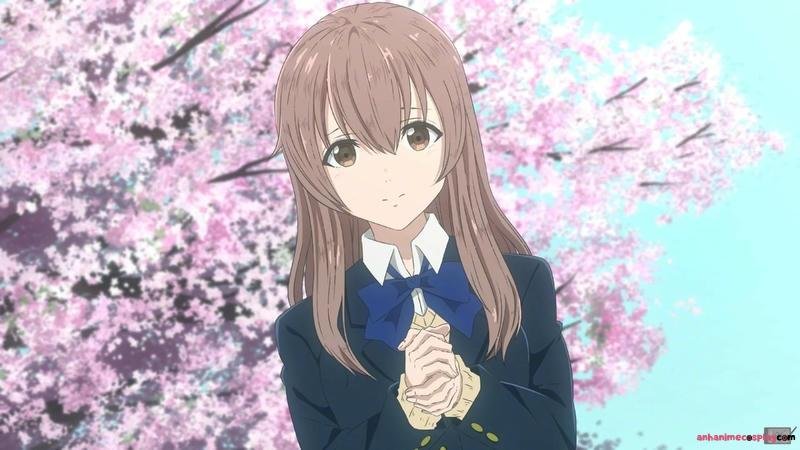 Khám phá ảnh shouko nishimiya cuốn hút