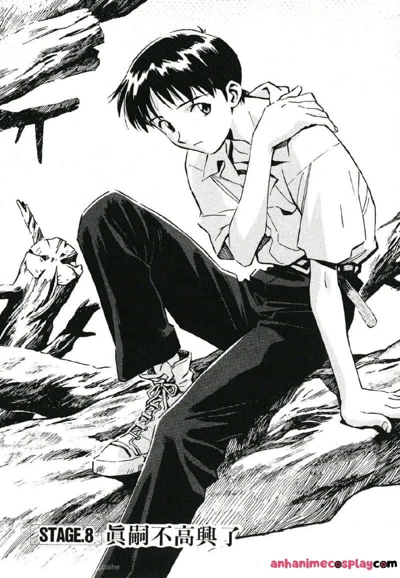 Loạt ảnh shinji ikari chất lượng