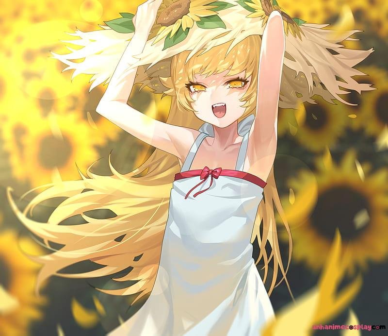 Loạt ảnh shinobu oshino cuốn hút