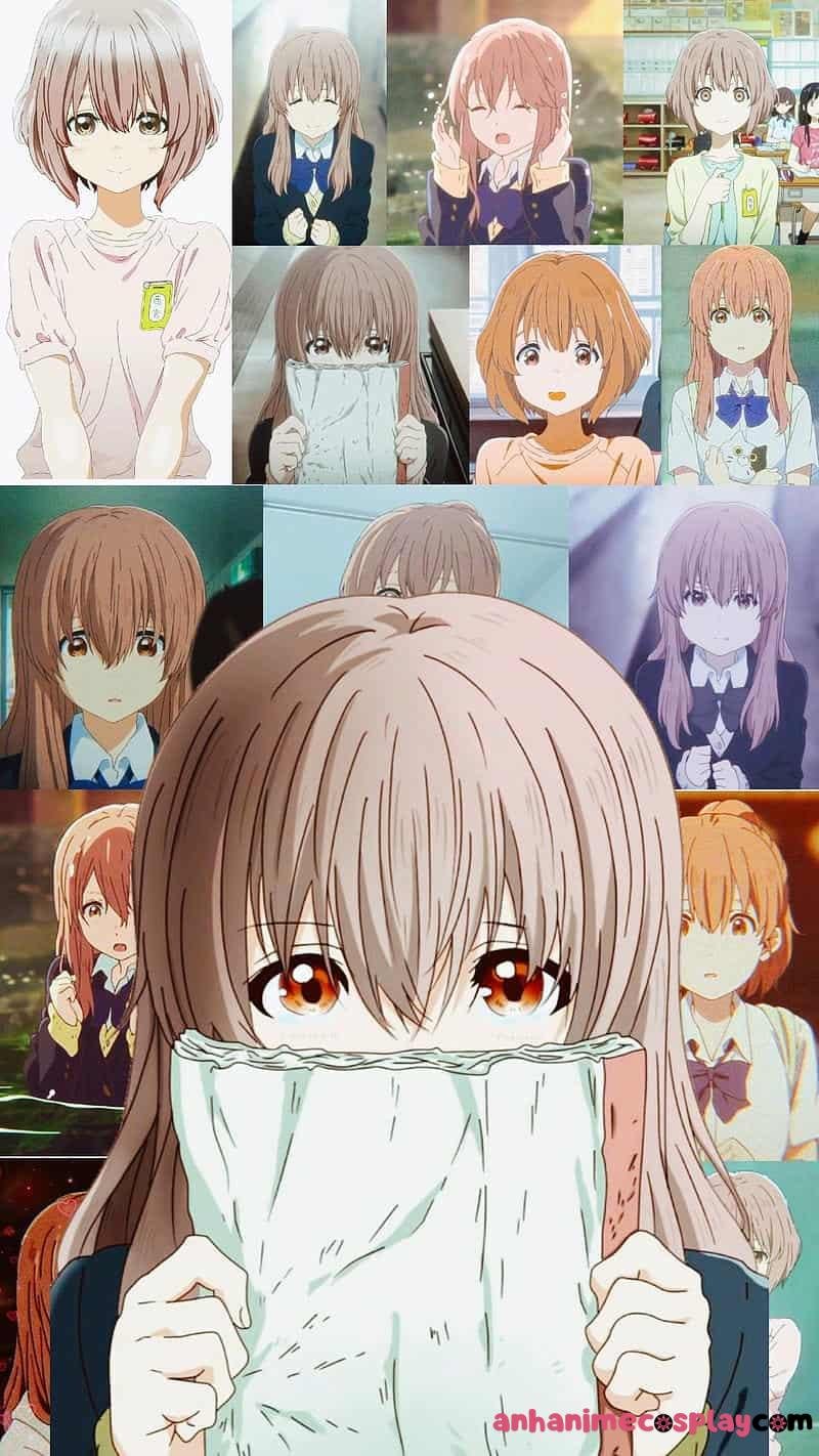 Loạt ảnh shouko nishimiya chất lượng