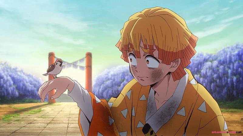 Loạt ảnh zenitsu agatsuma chất lượng