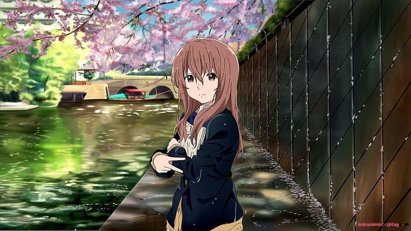 Ngắm bộ ảnh shouko nishimiya chất lượng cao
