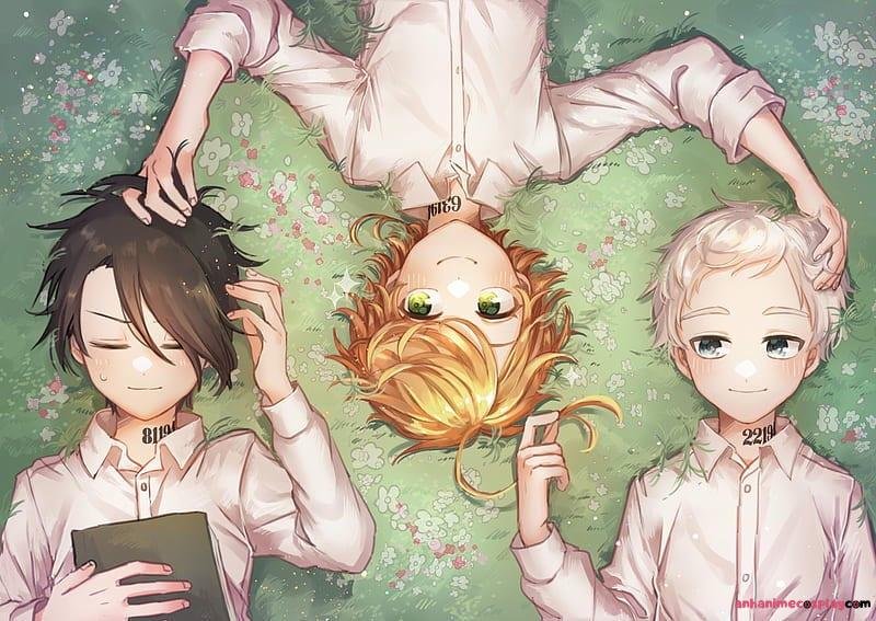 Tải ảnh emma mới nhất