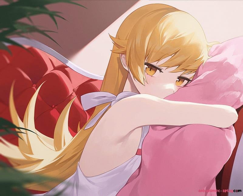 Tải bộ ảnh shinobu oshino mới nhất
