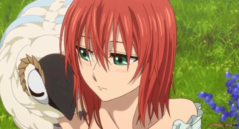 Tải về ảnh chise hatori chất lượng cao