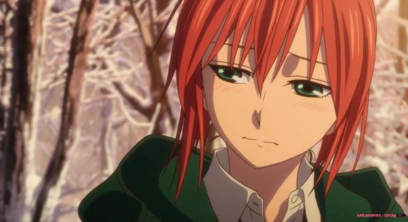 Tổng hợp ảnh chise hatori chất lượng