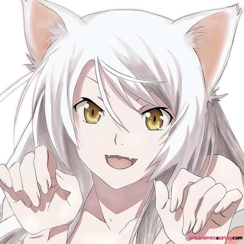 Tổng hợp ảnh tsubasa hanekawa chất lượng