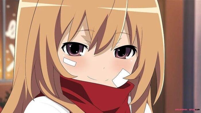 hình ảnh Taiga Aisaka cute nhất